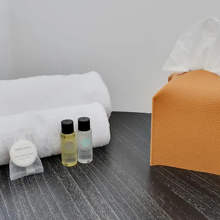 Ecrin De Prestige A Dauphine 公寓 巴黎