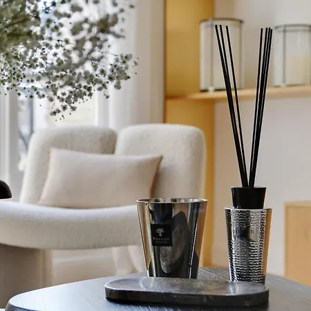 Apartment Ecrin De Prestige A Dauphine Paris